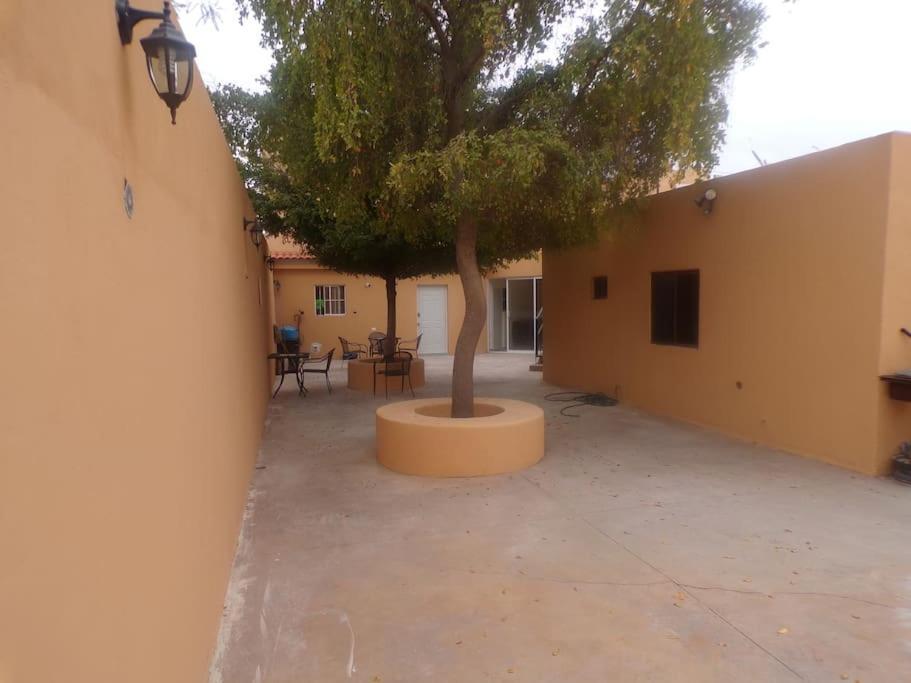Apartamento 12 Con Dos Camas , A 200 Mts Del Vado Del Rio , Cerca Del Centro De Gobierno , Internet De Alta Velocidad Hermosillo Luaran gambar